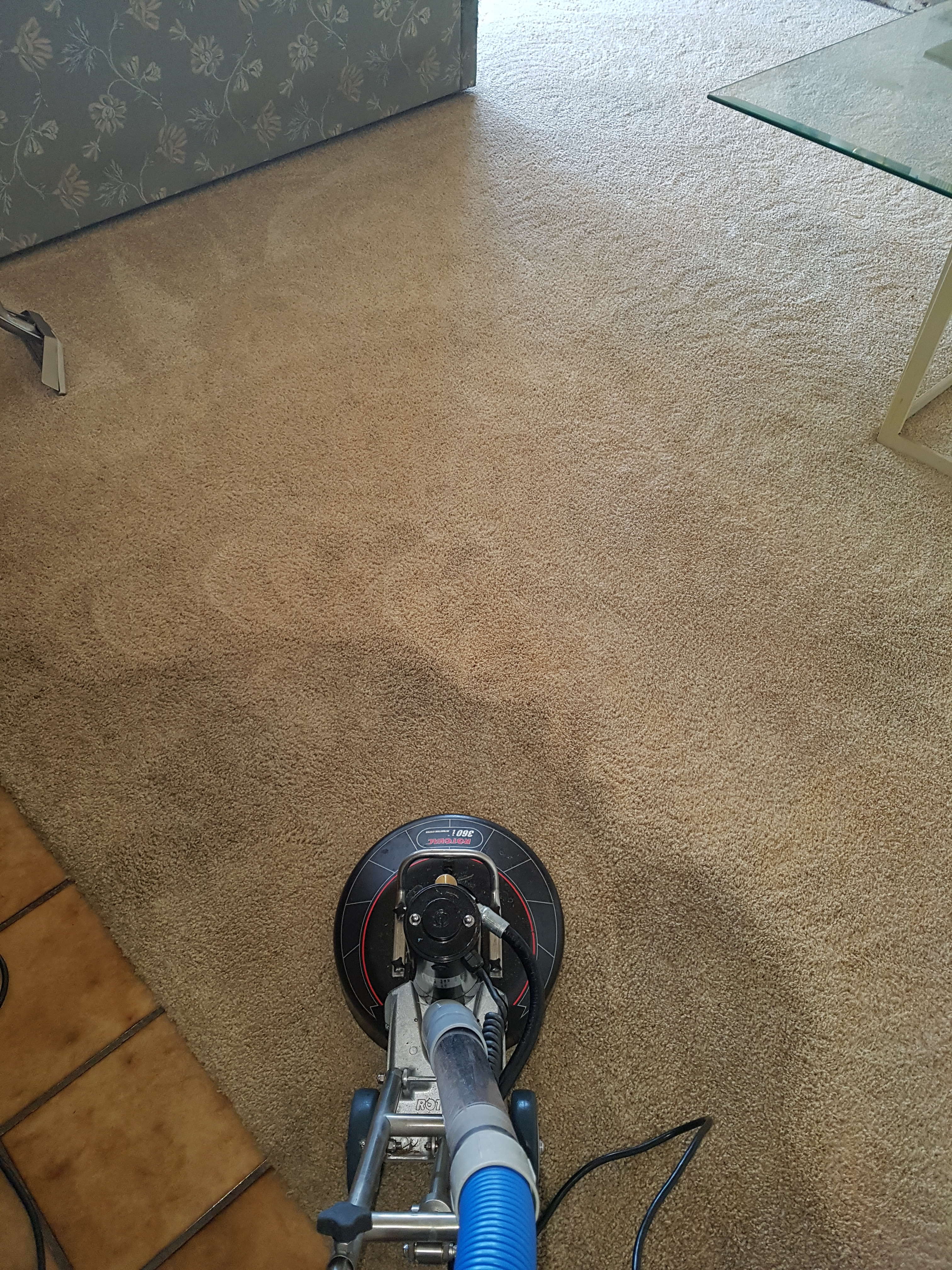 Carpet Cleaning OC House Beautiful Carpet Cleaning